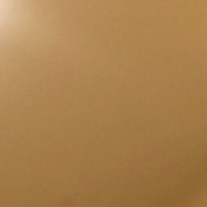 Meet your Posher, Dalton